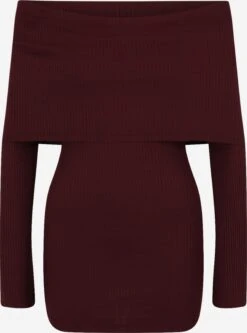 T-shirts à Manches Longues T-shirt Leni Femme Bordeaux